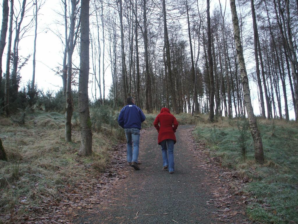 Macreddin Rock Bed & Breakfast Aughrim Buitenkant foto