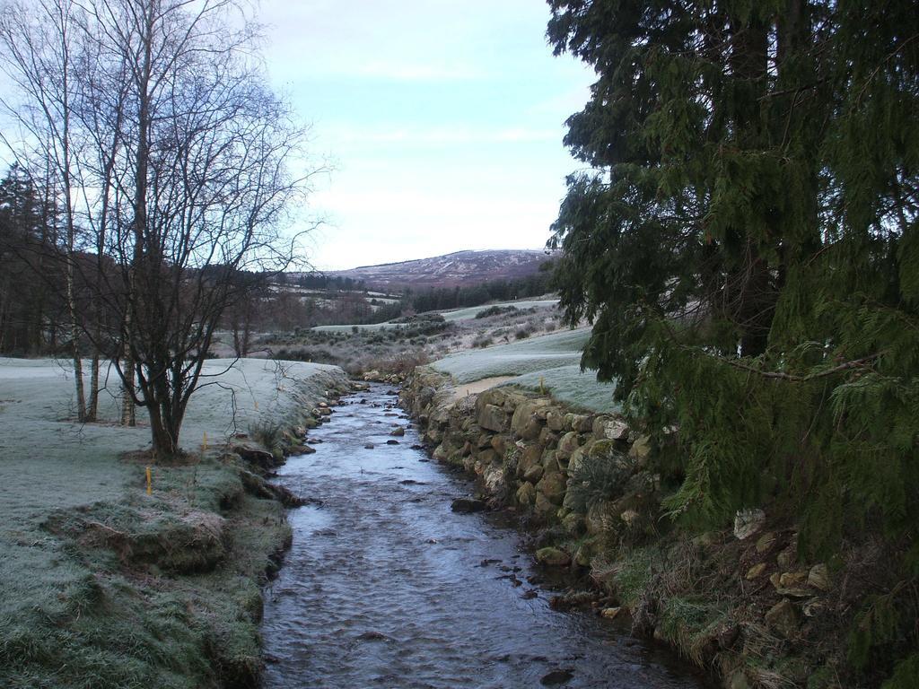 Macreddin Rock Bed & Breakfast Aughrim Buitenkant foto