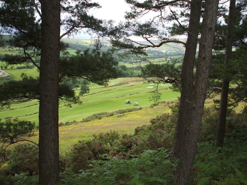 Macreddin Rock Bed & Breakfast Aughrim Buitenkant foto
