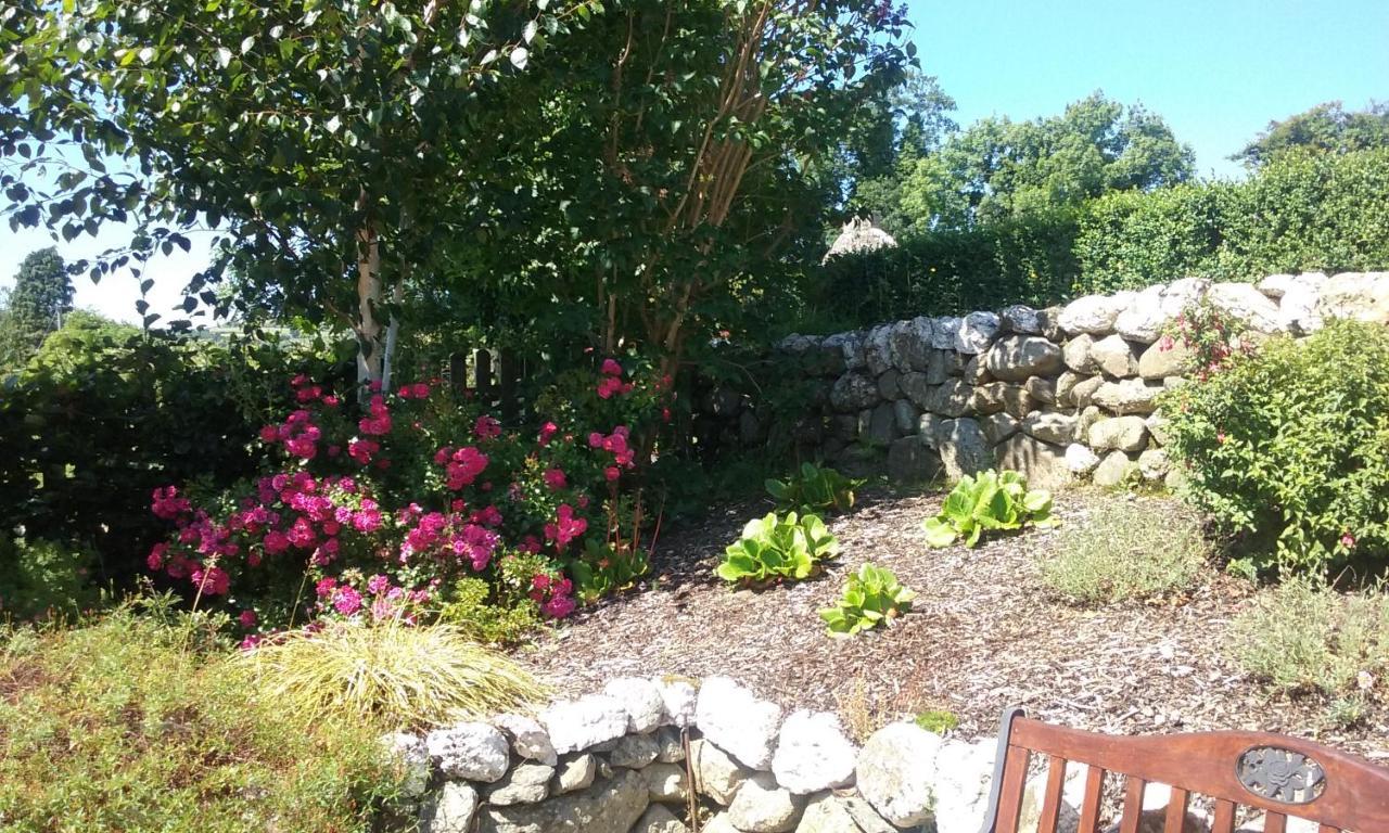Macreddin Rock Bed & Breakfast Aughrim Buitenkant foto