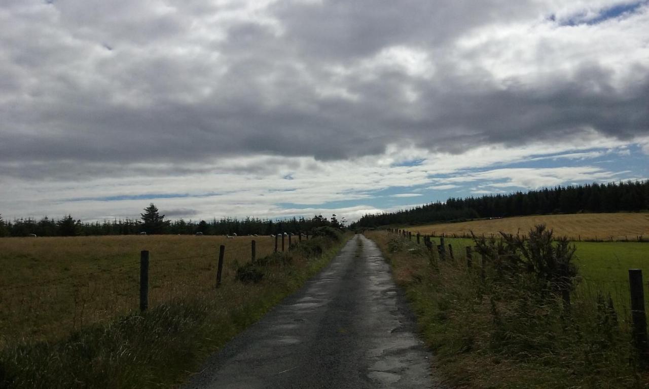 Macreddin Rock Bed & Breakfast Aughrim Buitenkant foto