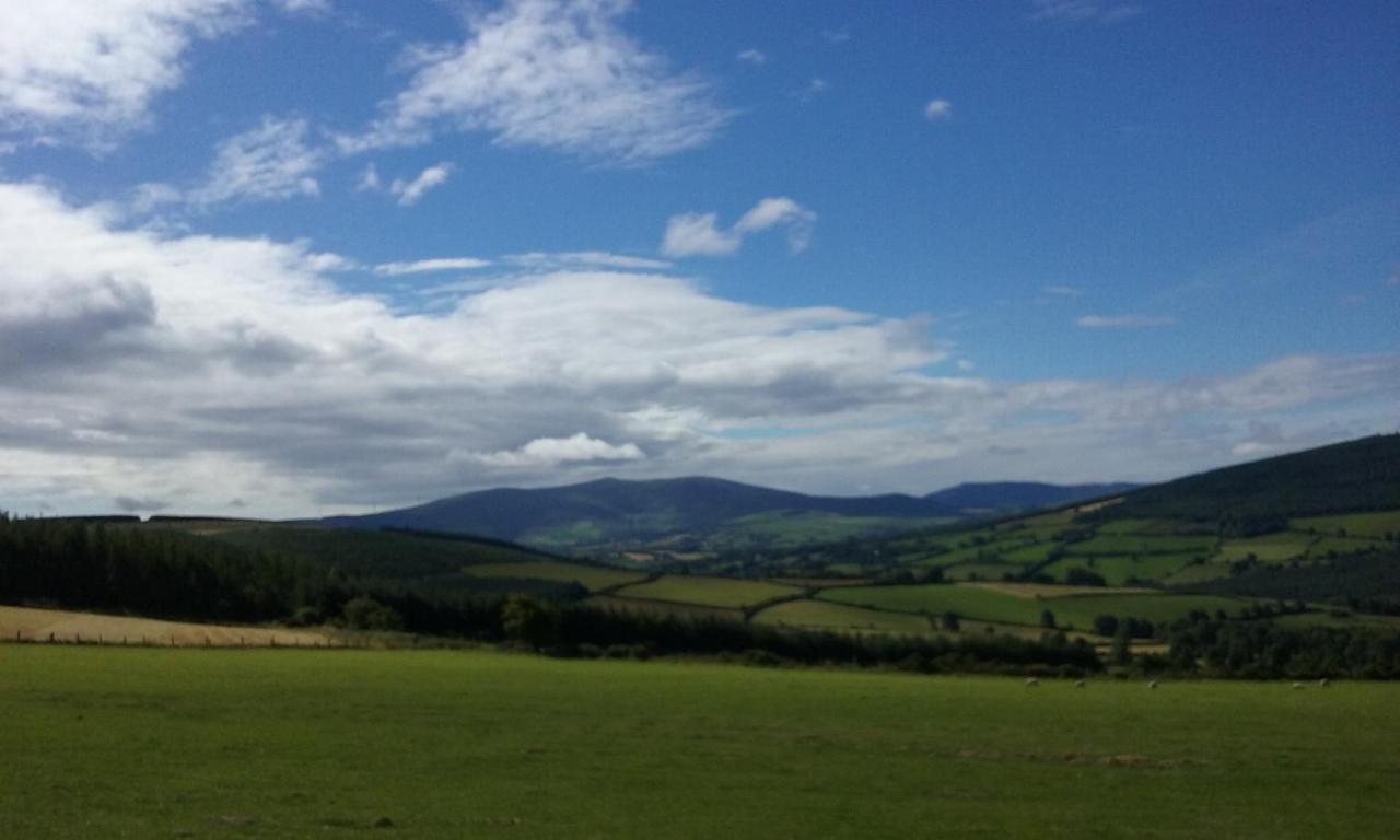 Macreddin Rock Bed & Breakfast Aughrim Buitenkant foto
