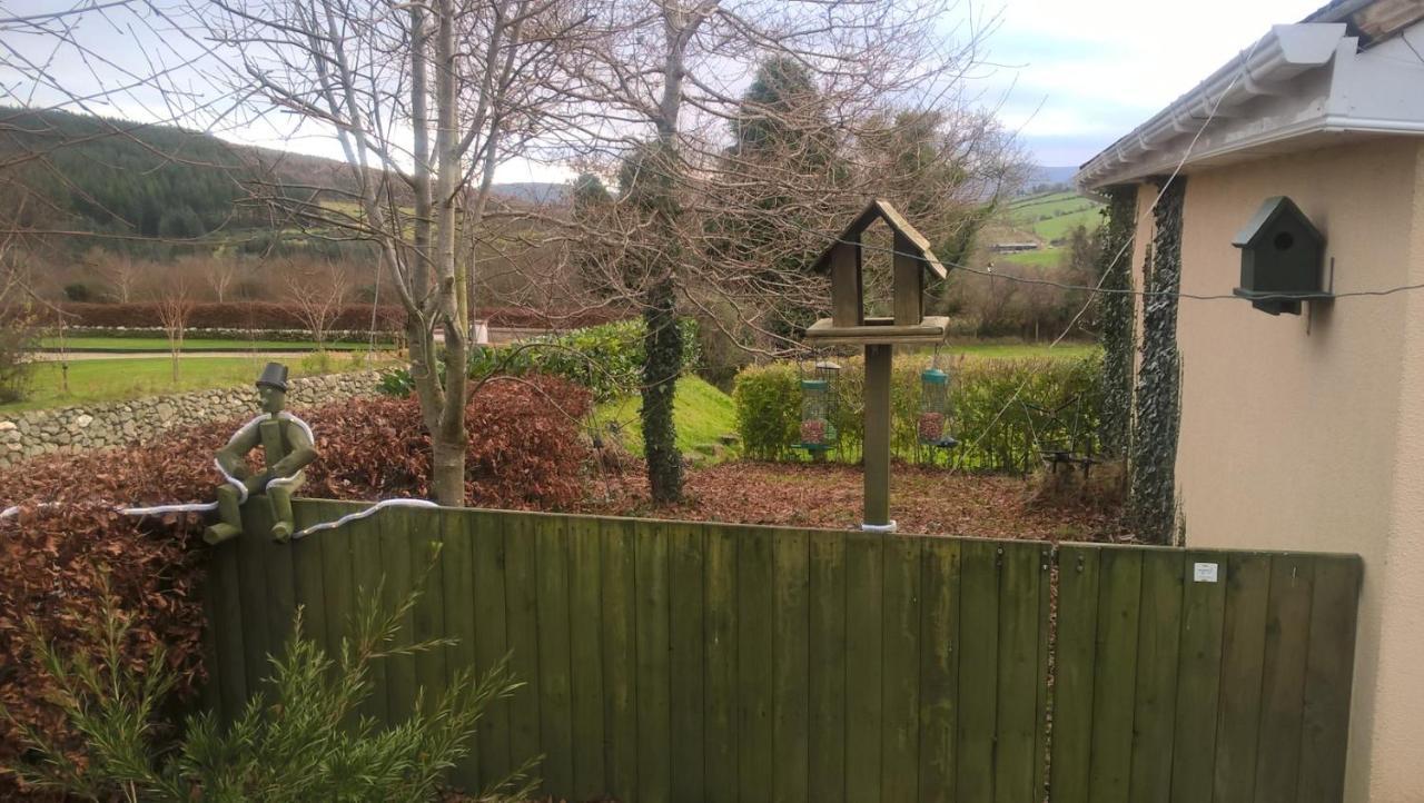 Macreddin Rock Bed & Breakfast Aughrim Buitenkant foto