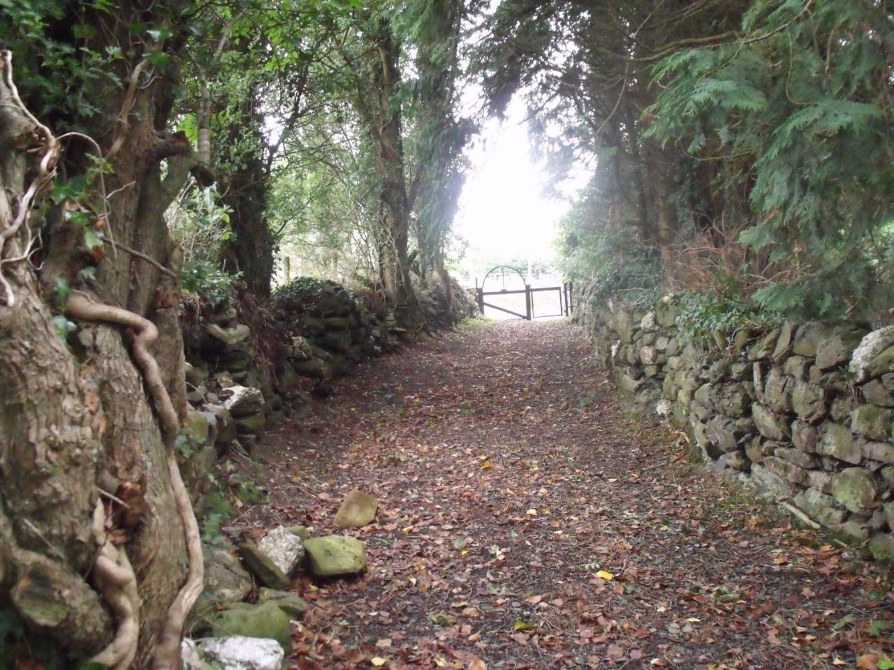 Macreddin Rock Bed & Breakfast Aughrim Buitenkant foto