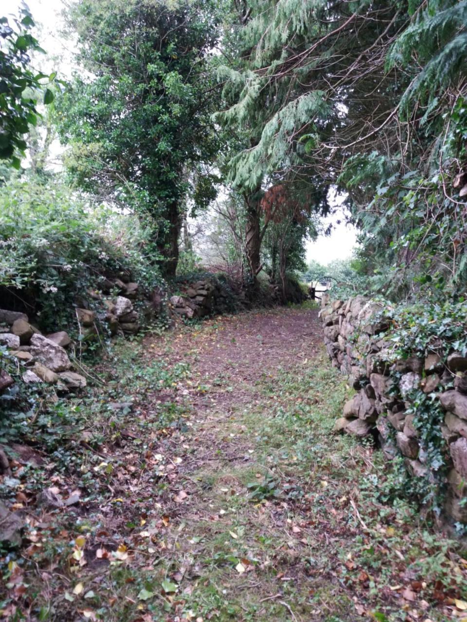 Macreddin Rock Bed & Breakfast Aughrim Buitenkant foto